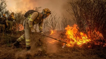Bomberos forestales apagando un incendio en el monte