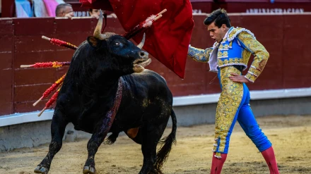 Madrid, domingo 4 de mayo de 2025. Vuelta al ruedo para Cid de María